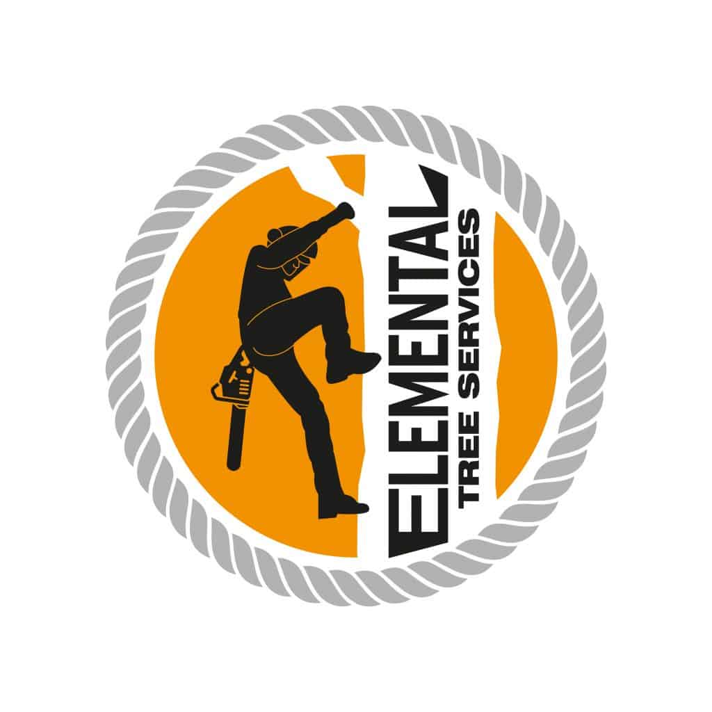 Graphic Designer Services - Richmond, North Yorkshire. Web Design, Print Design, Graphic Design